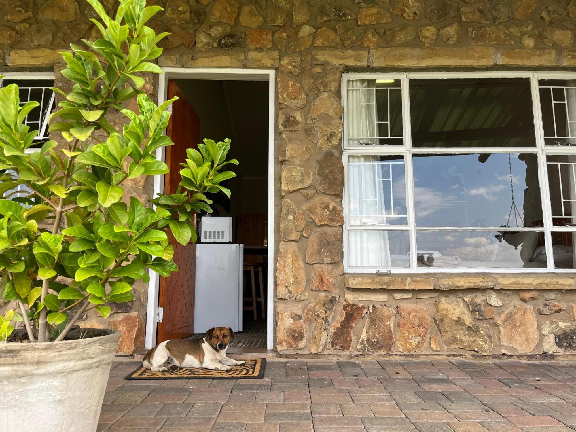 פורייסבורג Uitzicht Private Nature Reserve And Lodge חדר תמונה