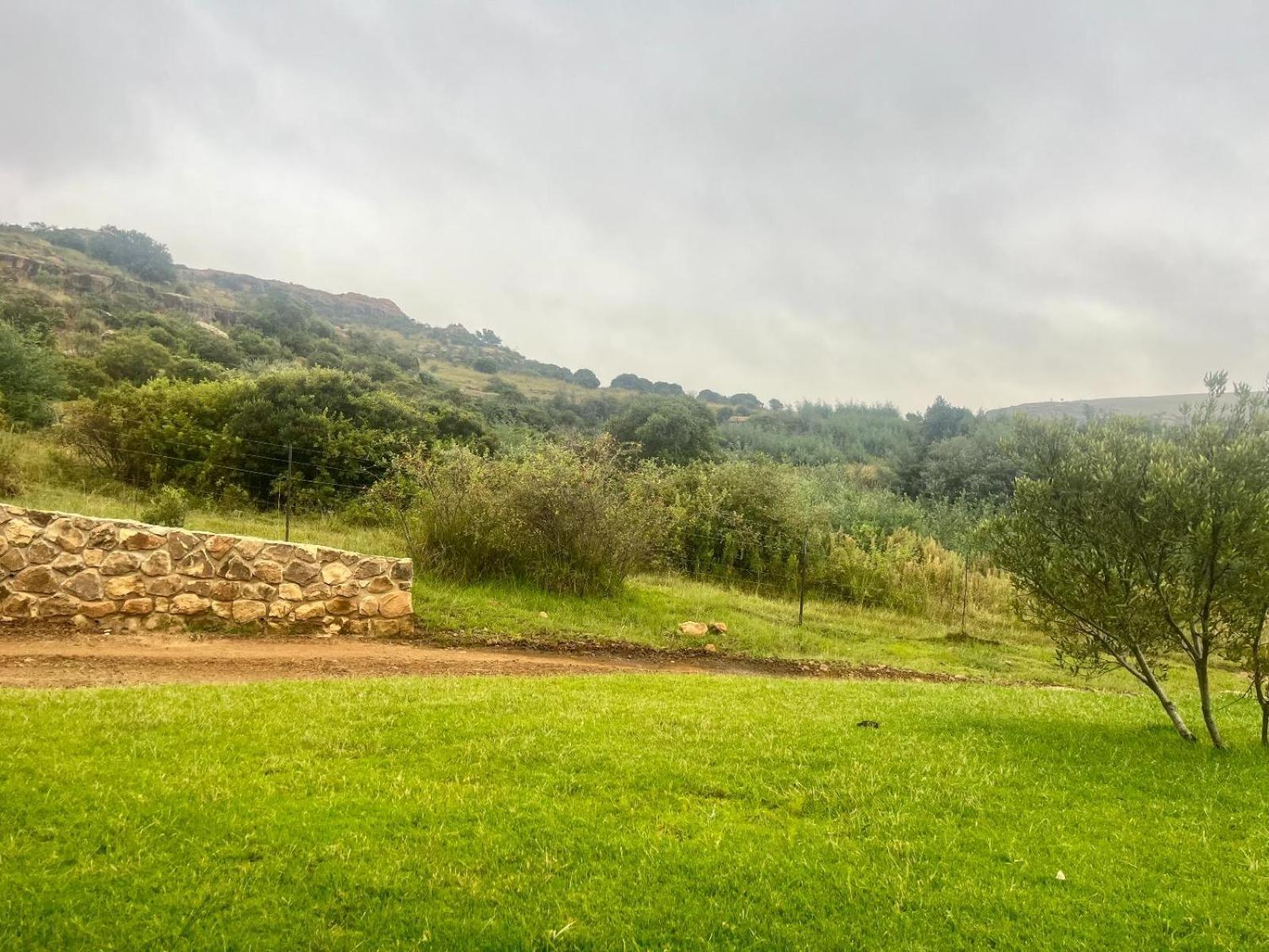 פורייסבורג Uitzicht Private Nature Reserve And Lodge מראה חיצוני תמונה