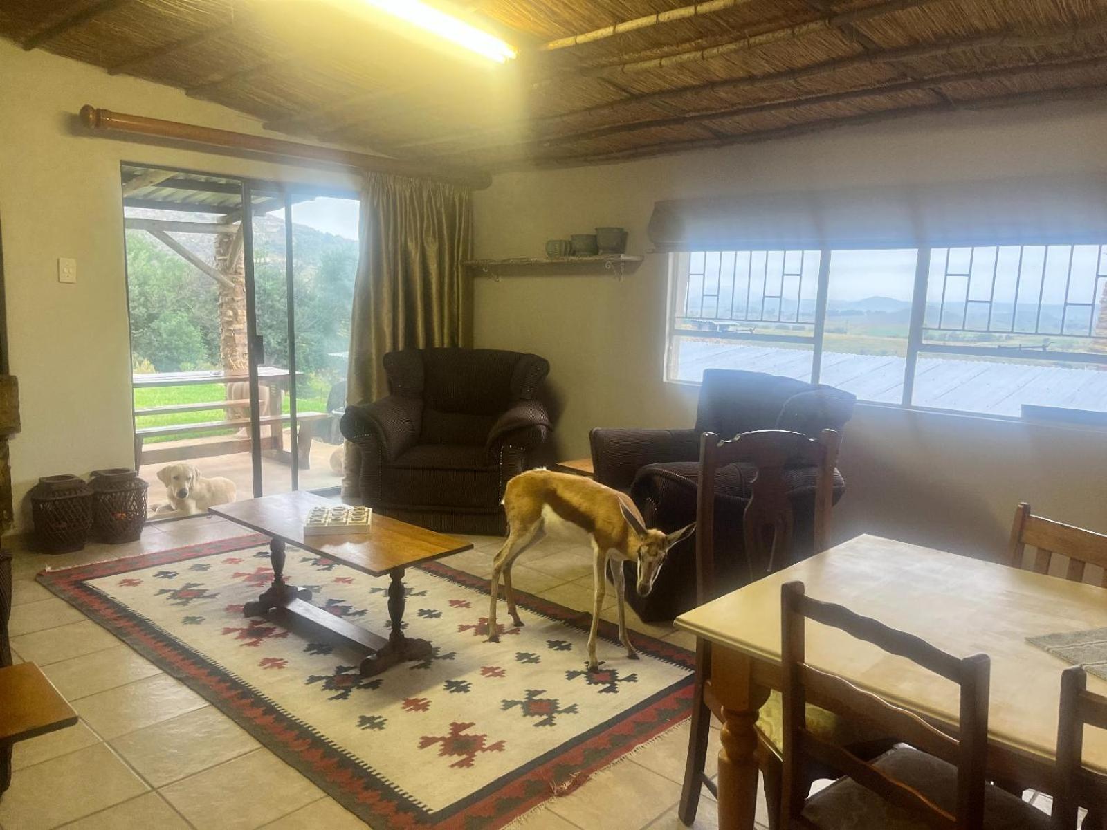 פורייסבורג Uitzicht Private Nature Reserve And Lodge מראה חיצוני תמונה